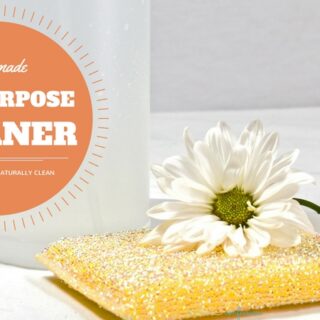 4 Ingredient Natural DIY All Purpose Cleaner