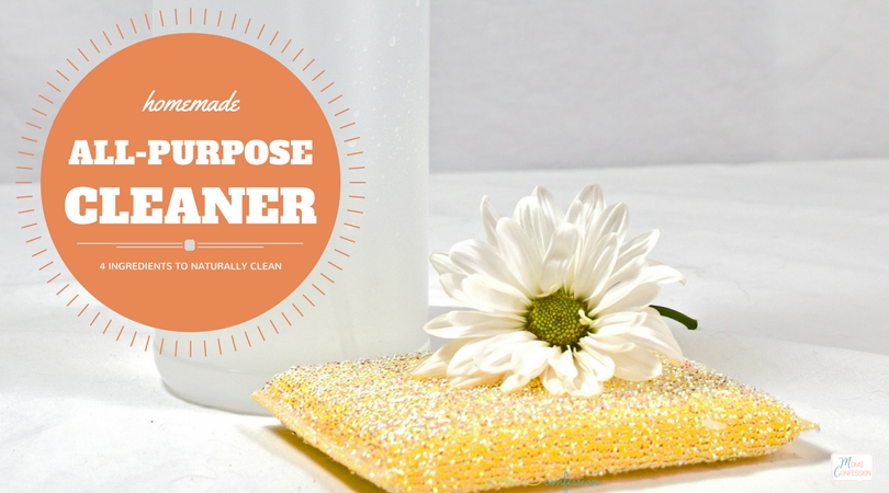 Keep your cleaning budget balanced and a naturally clean home with this diy all purpose cleaner.