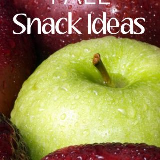 Great resource for fall snack ideas to enjoy this season!