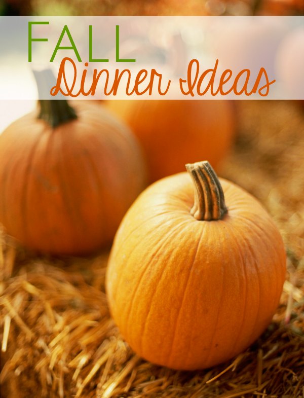 Great fall dinner ideas for the season!