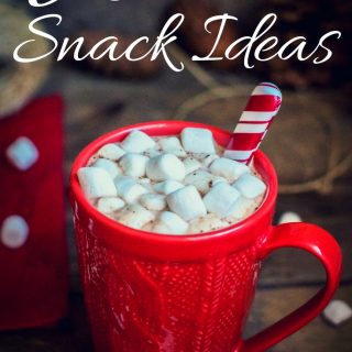 These winter snack ideas are the perfect treat for the season. Hot cocoa, apple cider, and delicious gingerbread cookies are only a taste what's to see!