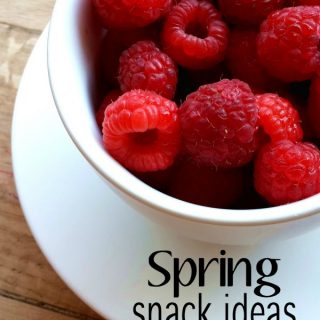 With the seasons changing, we all need great spring meal ideas to enjoy with our families. These 5 spring snack ideas are great staples for the season.