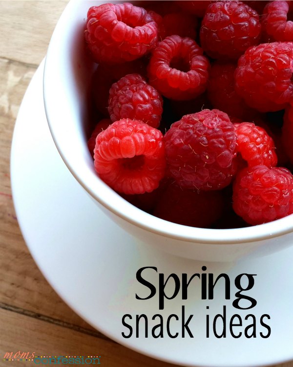 With the seasons changing, we all need great spring meal ideas to enjoy with our families. These 5 spring snack ideas are great staples for the season.