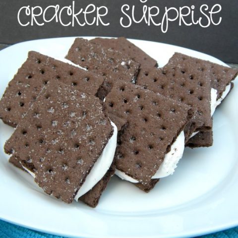 Try this healthier spin on the traditional ice cream sandwich with this Chocolate Graham Cracker Surprise!!