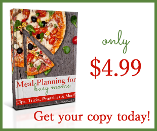 Buy Meal Planning for Busy Moms and meal plan like a pro in no time! ONLY $4.99