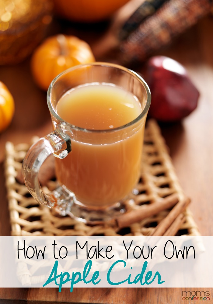 This is the easiest and best tasting apple cider recipe you will ever make! Must try!