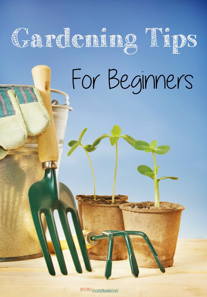Gardening Tips For Beginners gardening-tips-for-beginners