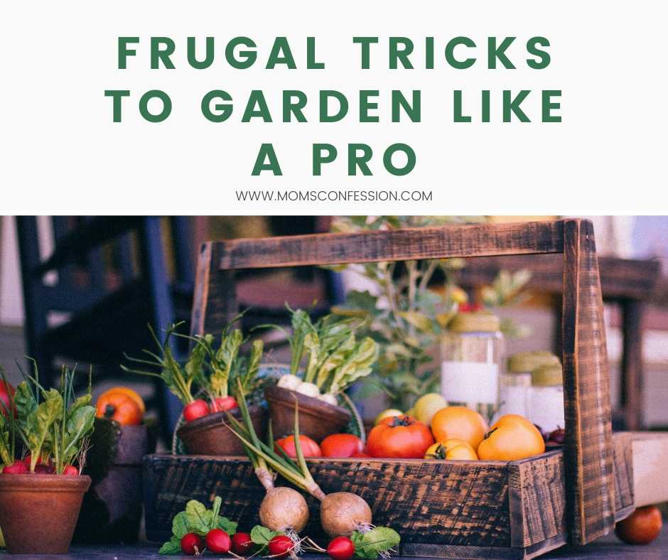 Frugal Tricks to Garden Like A Pro