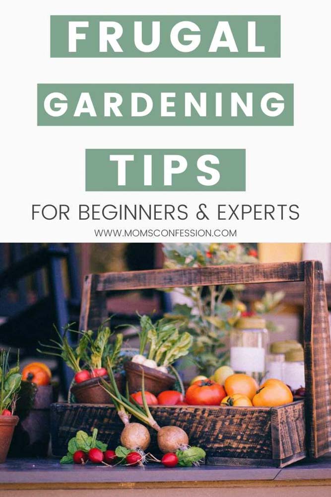 Frugal Gardening Tips & Tricks for Beginners and Experts