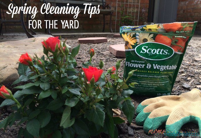 Spring Cleaning Yard Care Tips