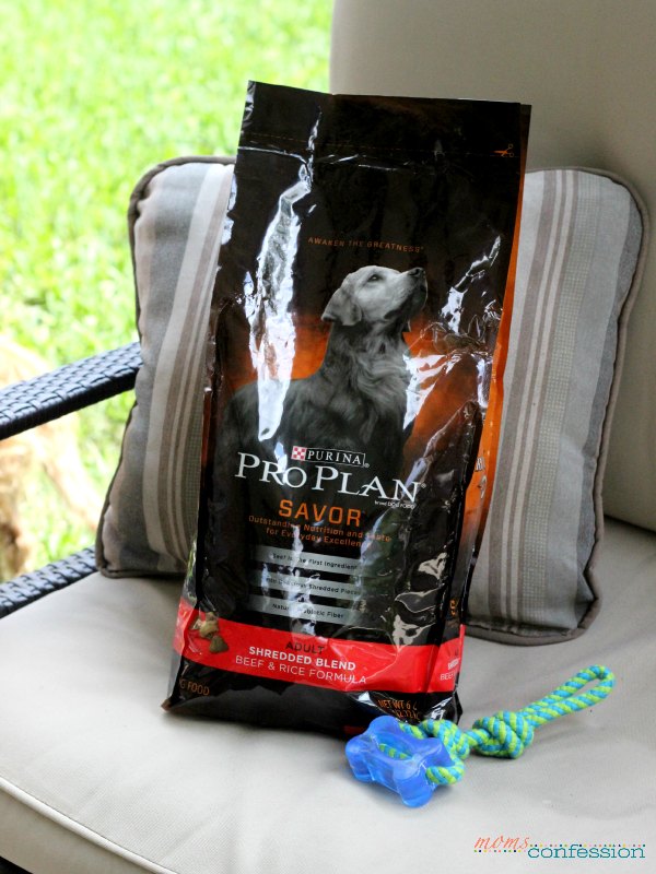 Purina Pro Plan – the only dog food for Maddie {no sew dog bed project}