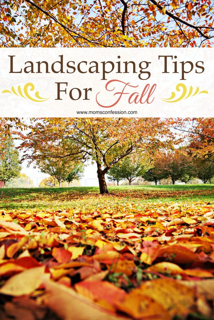 These landscaping tips for fall are perfect to get your lawn in order for the season. Follow these tips for fall and enjoy your landscaped yard all season.