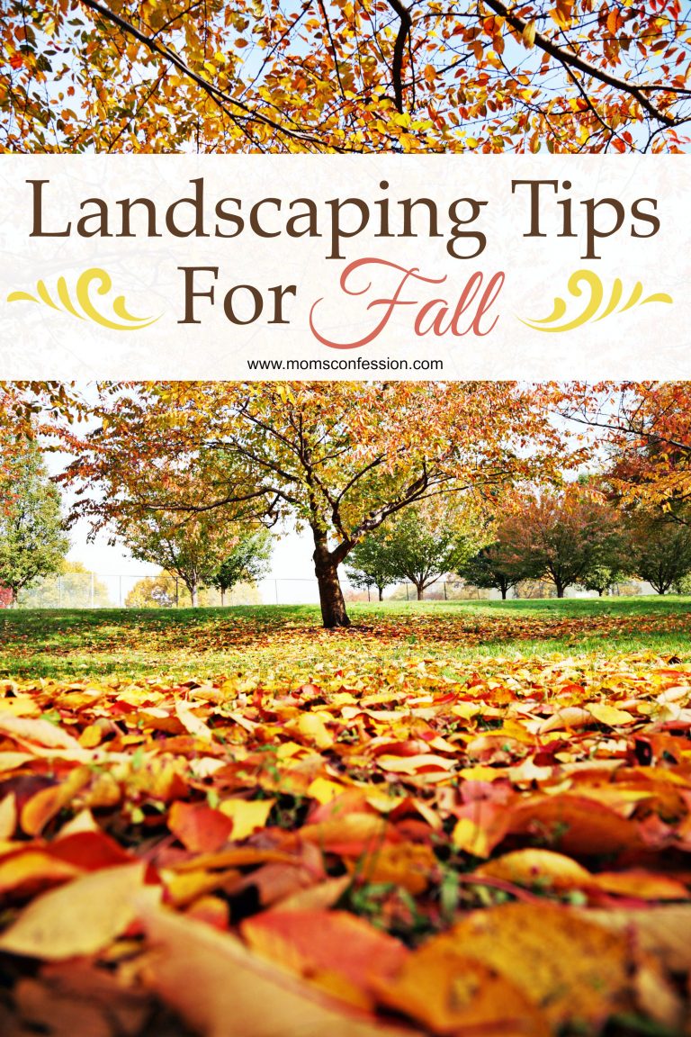 Landscaping Tips for Fall