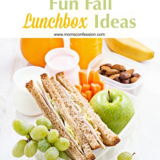 Fun Fall Lunchbox Ideas - Fall is FINALLY here, and that means we get to pack fun lunches for our kids. If you’re curious about what type of lunchbox ideas you can pack for your children this fall, consider these tips.