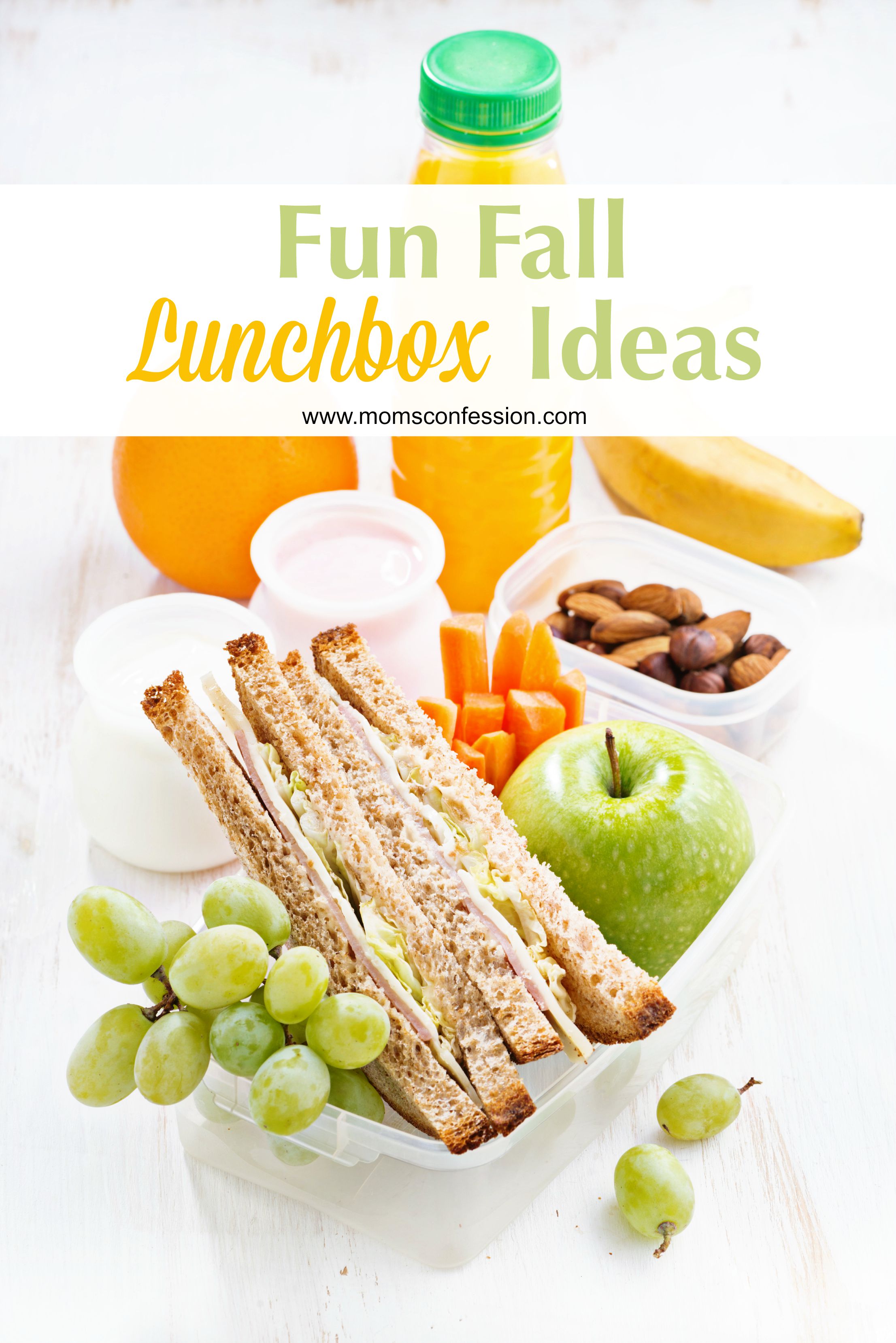 Lunchbox Ideas like our list of Fun Fall Lunchbox Ideas make it easy to pack lunch for your kids each day! Grab our tips and make your kids lunch they love!