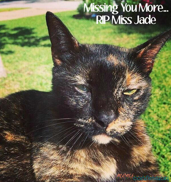 Miss Jade