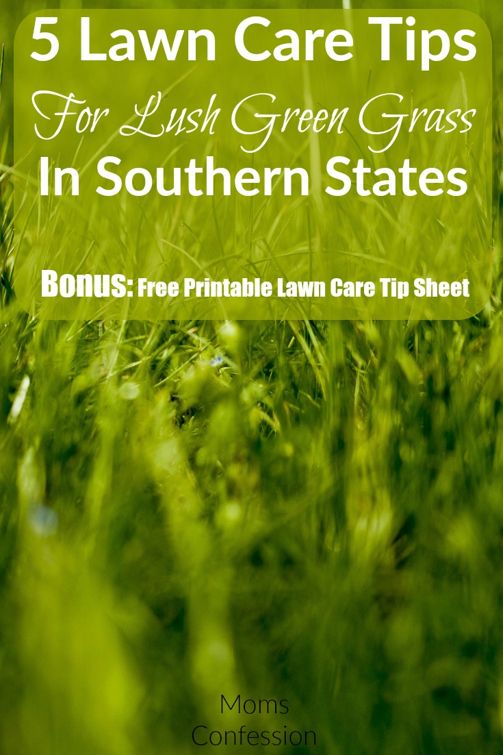 Don't miss our Top 5 Lawn Care Tips to create Lush Green Grass in the hottest Southern Summer States! These tips make a gorgeous lawn easy to manage no matter where you live!