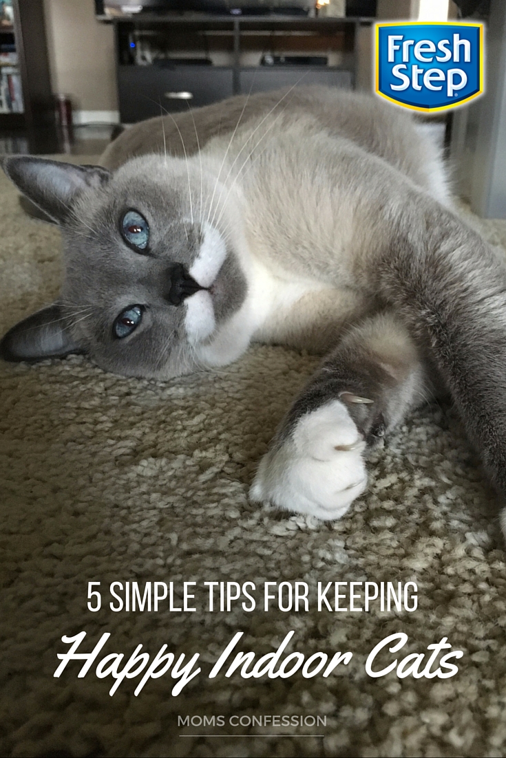 Use these 5 simple tips for keeping happy cats indoors and make this cute cat bed and scratcher combo. Your cats will love it!