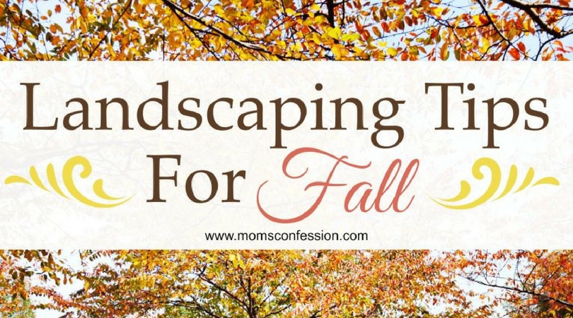 These landscaping tips for fall are perfect to get your lawn in order for the season. Follow these tips for fall and enjoy your landscaped yard all season.