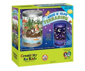 Grow N’ Glow Terrarium