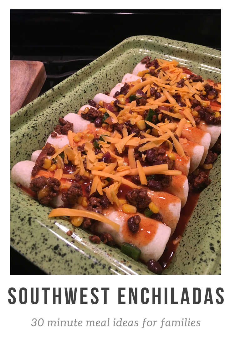 Southwest Beef Enchiladas Recipe 