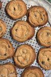 Homemade Chocolate Chip Cookies Recipe