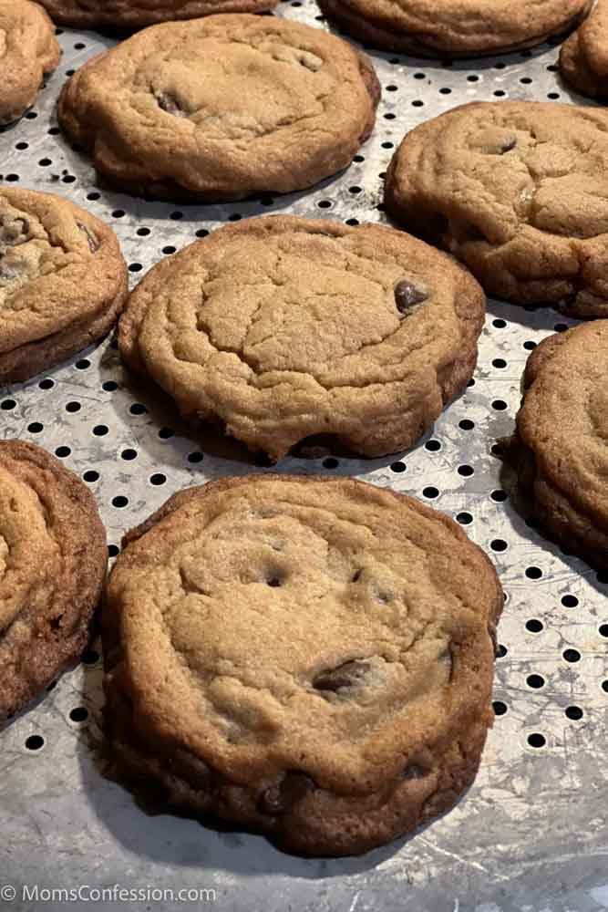 Homemade Chocolate Chip Cookies