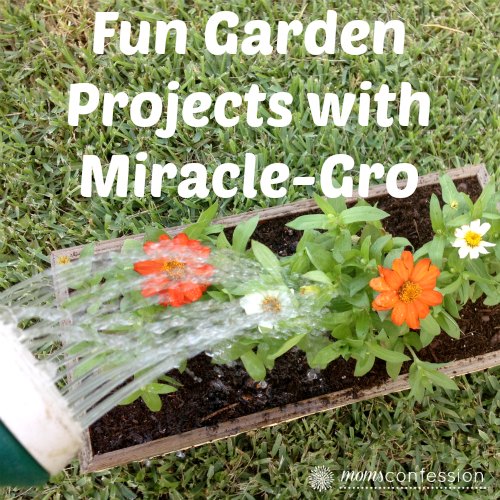 Fun Garden Projects with Miracle-Gro