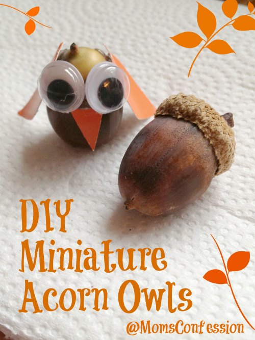 Have fun making these miniature acorn owls with this kids this week. Super easy fall craft idea...