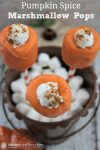 Take care of your sweet tooth with these delicious Pumpkin Spice Marshmallow Pops!