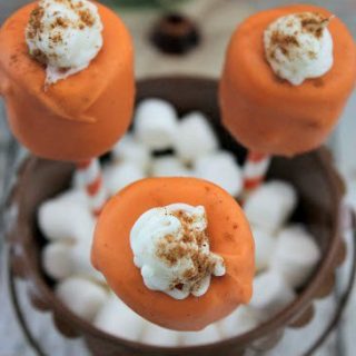 Take care of your sweet tooth with these delicious Pumpkin Spice Marshmallow Pops!