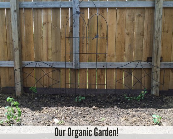 our organic garden